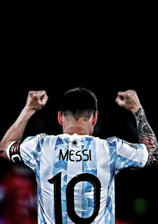 似的文化体 似的文化体