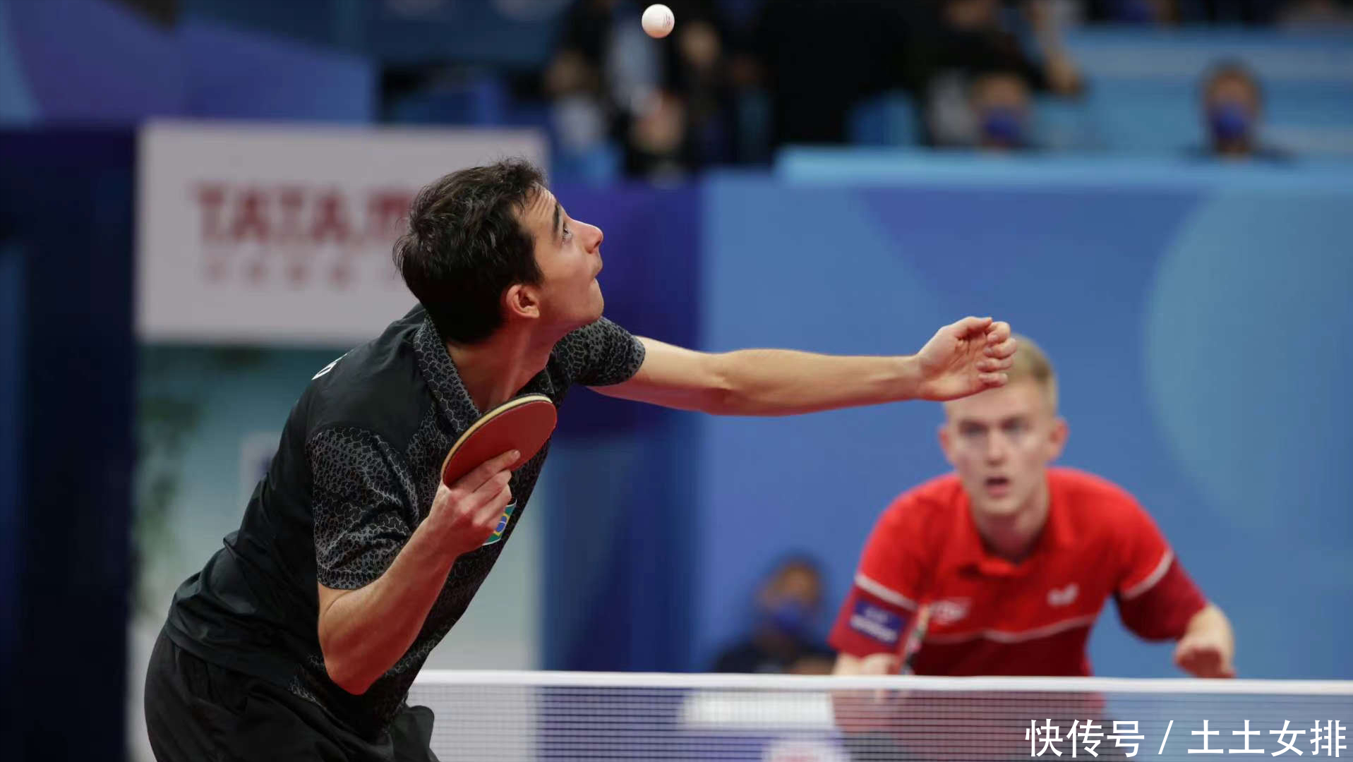 峨眉能显著 峨眉能显著